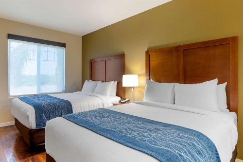 Comfort Inn & Suites Near Ontario Airport image 16