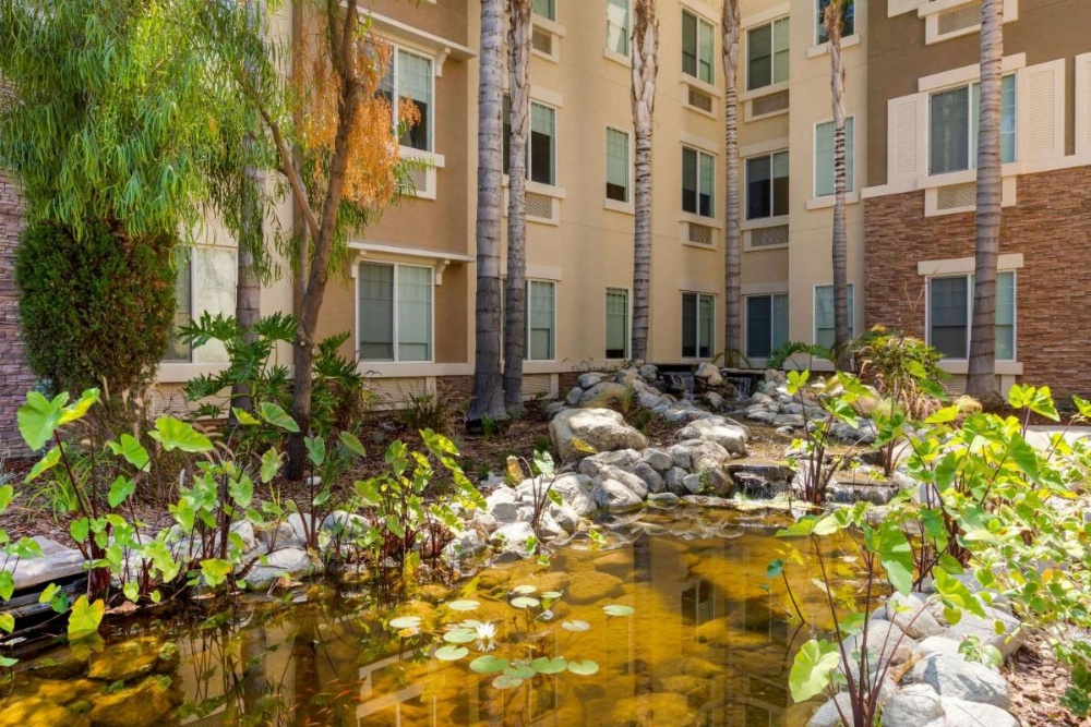 Comfort Inn & Suites Near Ontario Airport Image 7